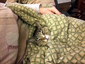 Luna wrapped in blanket sideways with only head showing