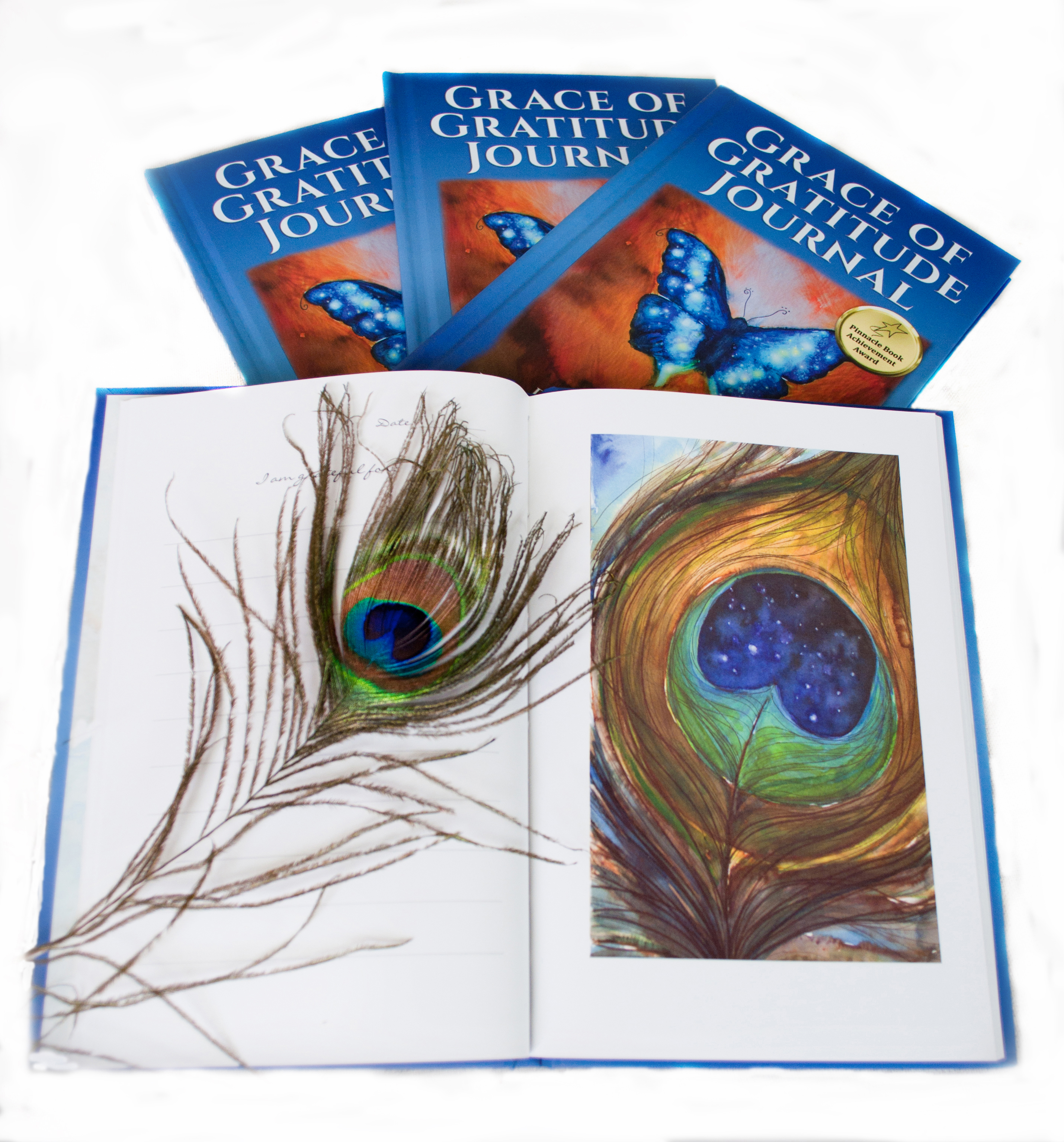 peacockfeatherJournal.jpg