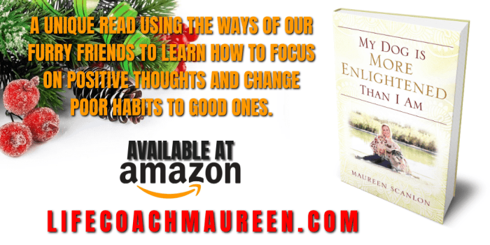 My Dog is More Enlightened FACEBOOK and TWITTER TEASER